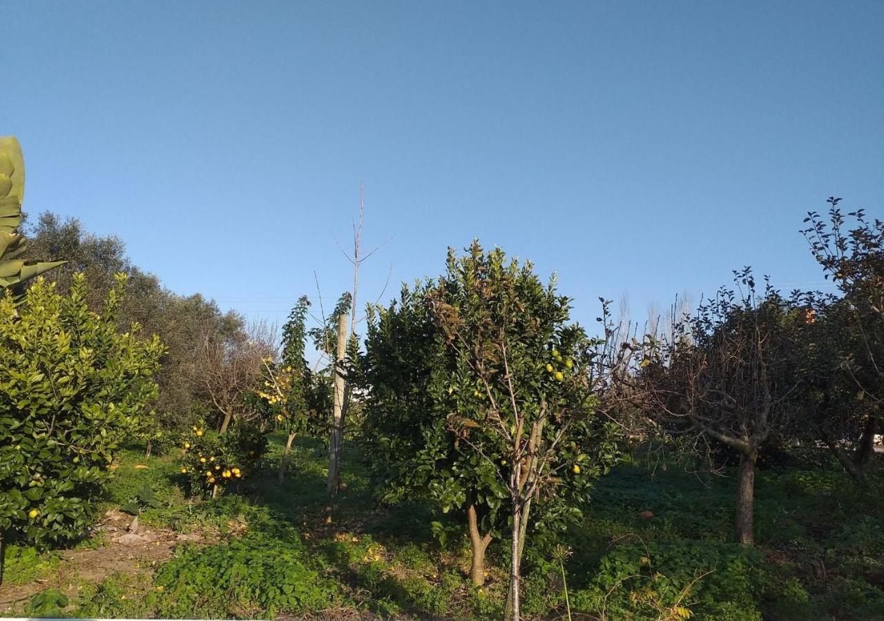 Greenside Of Sea Corujeira Extérieur photo