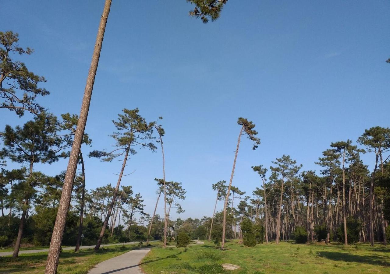Greenside Of Sea Corujeira Extérieur photo
